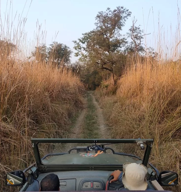 Tadoba Flora And Fauna - Tadoba